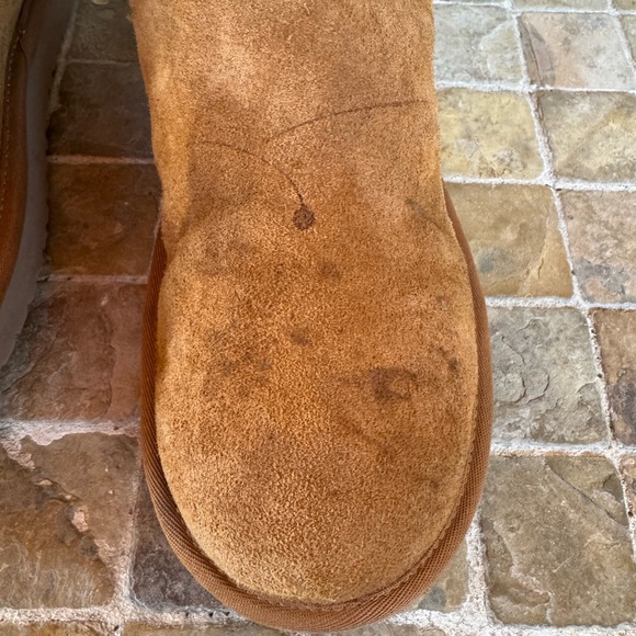 Kookaburra  by ugg Cozy Tan Suede Women's Boots - Picture 6 of 16